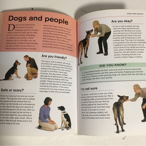 Book What is my dog thinking? The essential guide to pet behavior Gwen B… - Picture 8 of 11